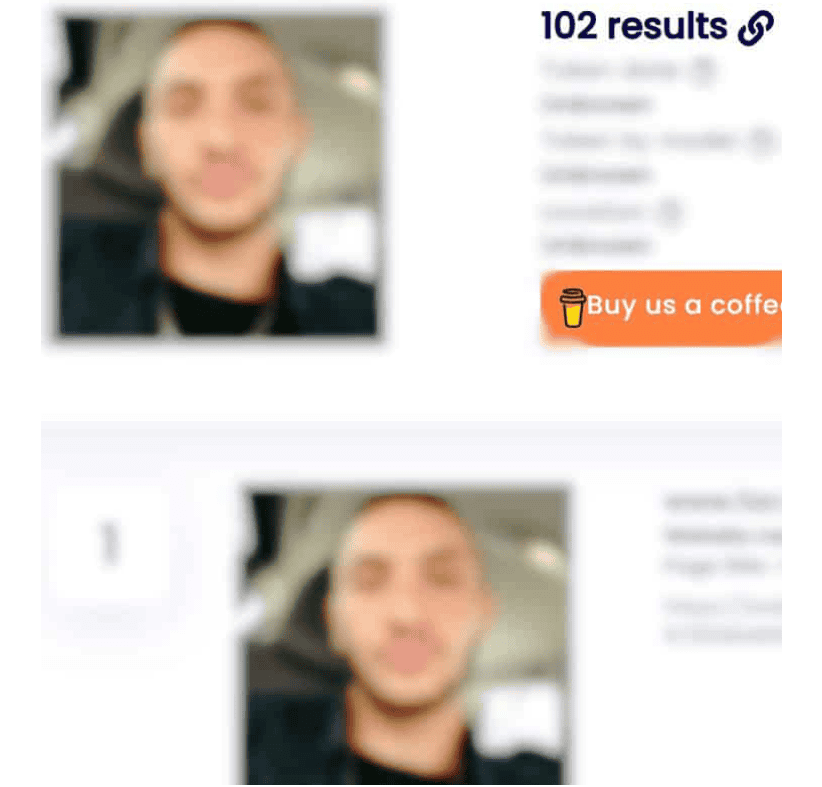 Resultados de Copyseeker
