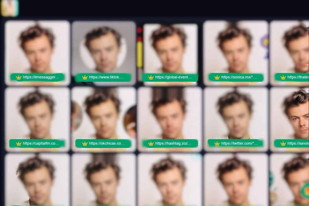 Resultados de FaceSeek