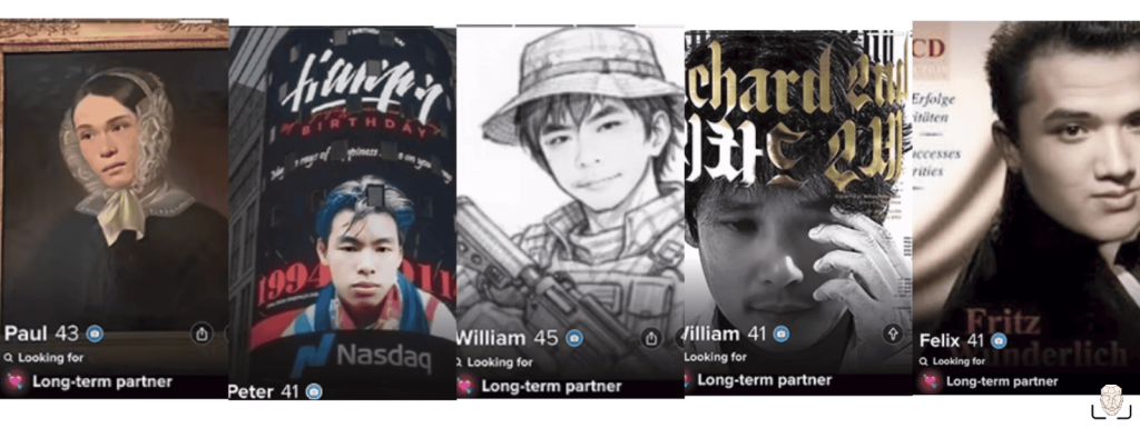 偽のTinderプロフィール