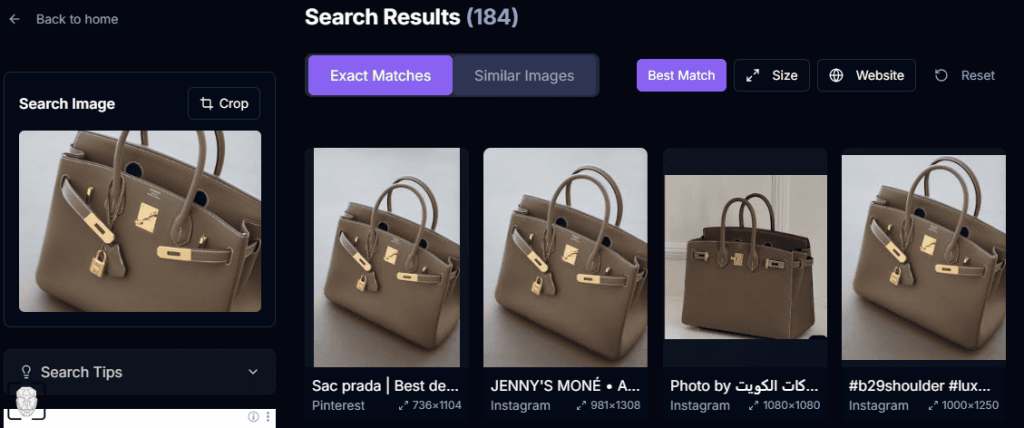 PicDetective results